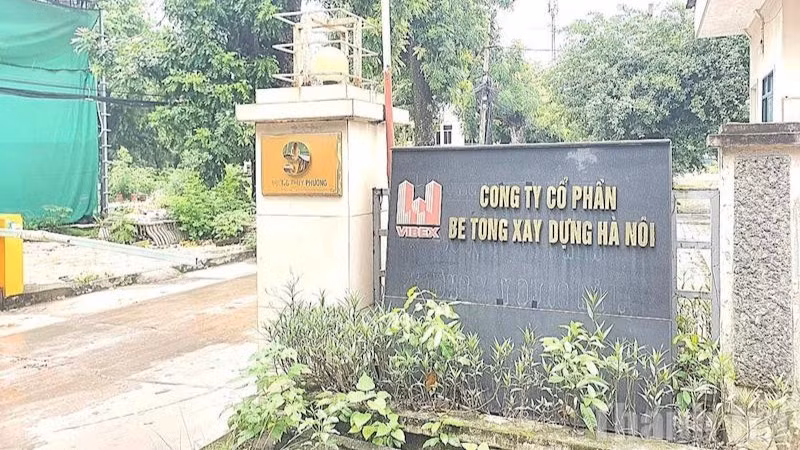Dù đã chuyển công tác khỏi Công ty cổ phần bê tông xây dựng Hà Nội 3 năm, nhưng đến nay bà Vũ Thị Thái Hà vẫn chưa được chuyển sinh hoạt Đảng.