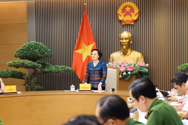 Phó Thủ tướng Phạm Thị Thanh Trà làm việc với các bộ, ngành, cơ quan về công tác giám định ADN xác định danh tính hài cốt liệt sĩ. (Ảnh: chinhphu.vn/Thu Giang)