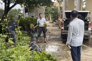 Người dân xã Lục Nam vận chuyển cây giống về nhà. (Ảnh: HH)