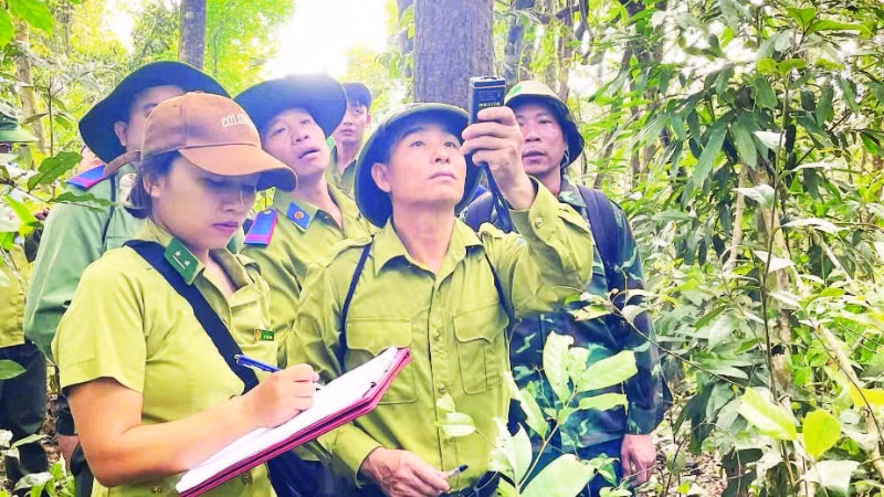 Lực lượng kiểm lâm phối hợp tuần tra, bảo vệ rừng và tuyên truyền phòng chống cháy rừng cho nhân dân.