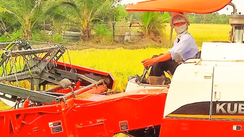 Cơ giới hóa đã thay thế sức lao động cho nông dân trồng lúa ở Tây Ninh.