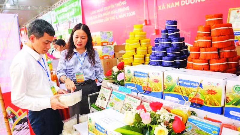 Giới thiệu sản phẩm mì gạo của thành viên Câu lạc bộ Hợp tác xã Lục Ngạn.