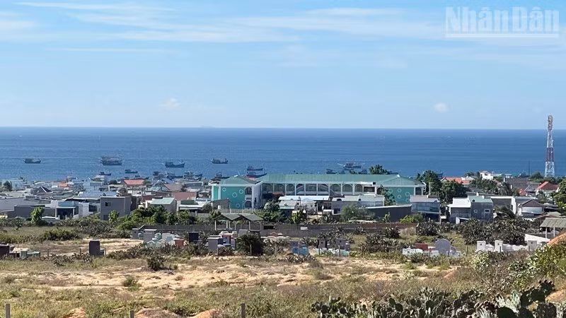 ndo_tr_11-3301.jpg