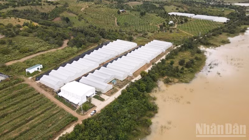 Một góc nông trại Chapor Farm, thôn Ma Ty, xã Bác Ái Tây, tỉnh Khánh Hòa. (Ảnh: NGUYỄN TRUNG)