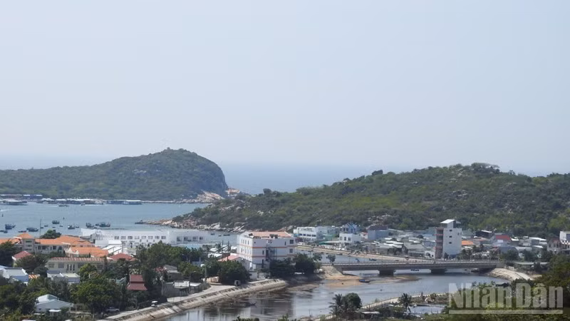 ndo_br_dscn7388-4337.jpg