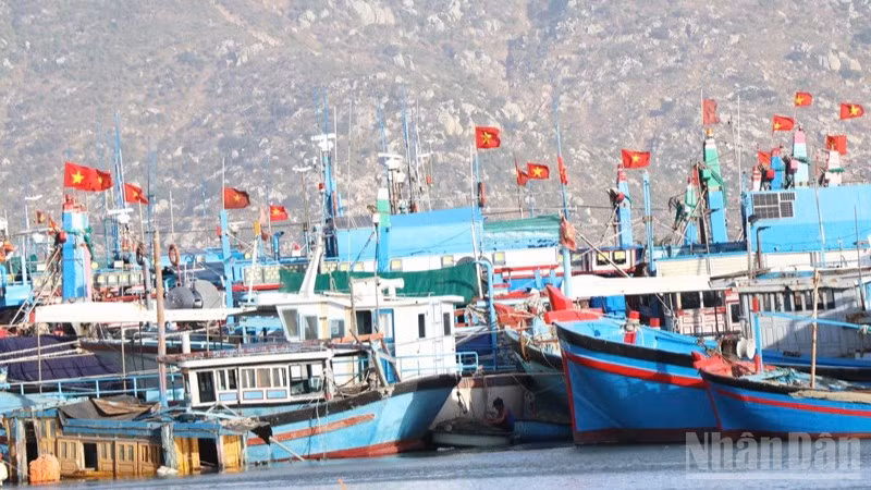 Tàu cá của ngư dân xã Cà Ná (Khánh Hòa) neo đậu an toàn, chuẩn bị cho việc sửa chữa. (Ảnh: NGUYỄN TRUNG)