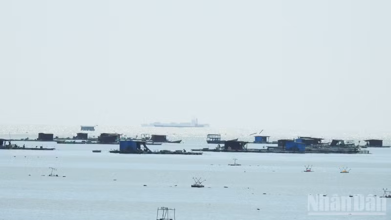 ndo_br_13-5129.jpg
