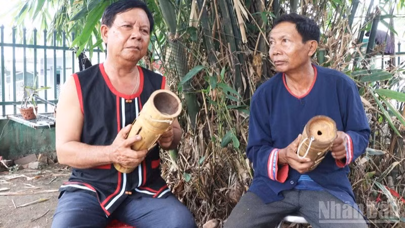 Hai nghệ nhân Tà Thía Panh và Tà Thía Ca (xã Phước Hà, tỉnh Khánh Hòa) đang hòa tấu làn điệu độc đáo của đàn Chapi, như đang trò chuyện với núi rừng bằng thứ ngôn ngữ đã gắn bó với người Raglai qua bao thế hệ. (Ảnh: NGUYỄN TRUNG)