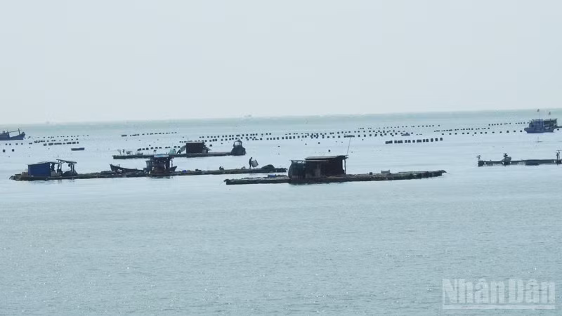 ndo_br_10-1808.jpg