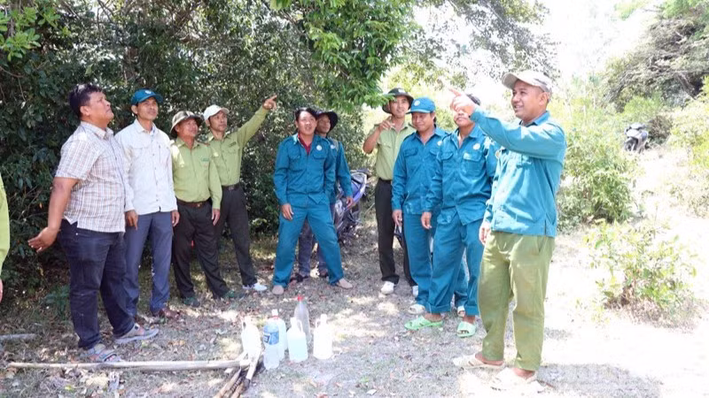 Lực lượng kiểm lâm thuộc Ban Quản lý rừng phòng hộ Krông Pha (xã Lâm Sơn, tỉnh Khánh Hòa) cùng các tổ bảo vệ rừng đi kiểm tra các vùng rừng khộp do đơn vị quản lý đang có nguy cơ cháy cao trong mùa khô. (Ảnh: NGUYỄN TRUNG)