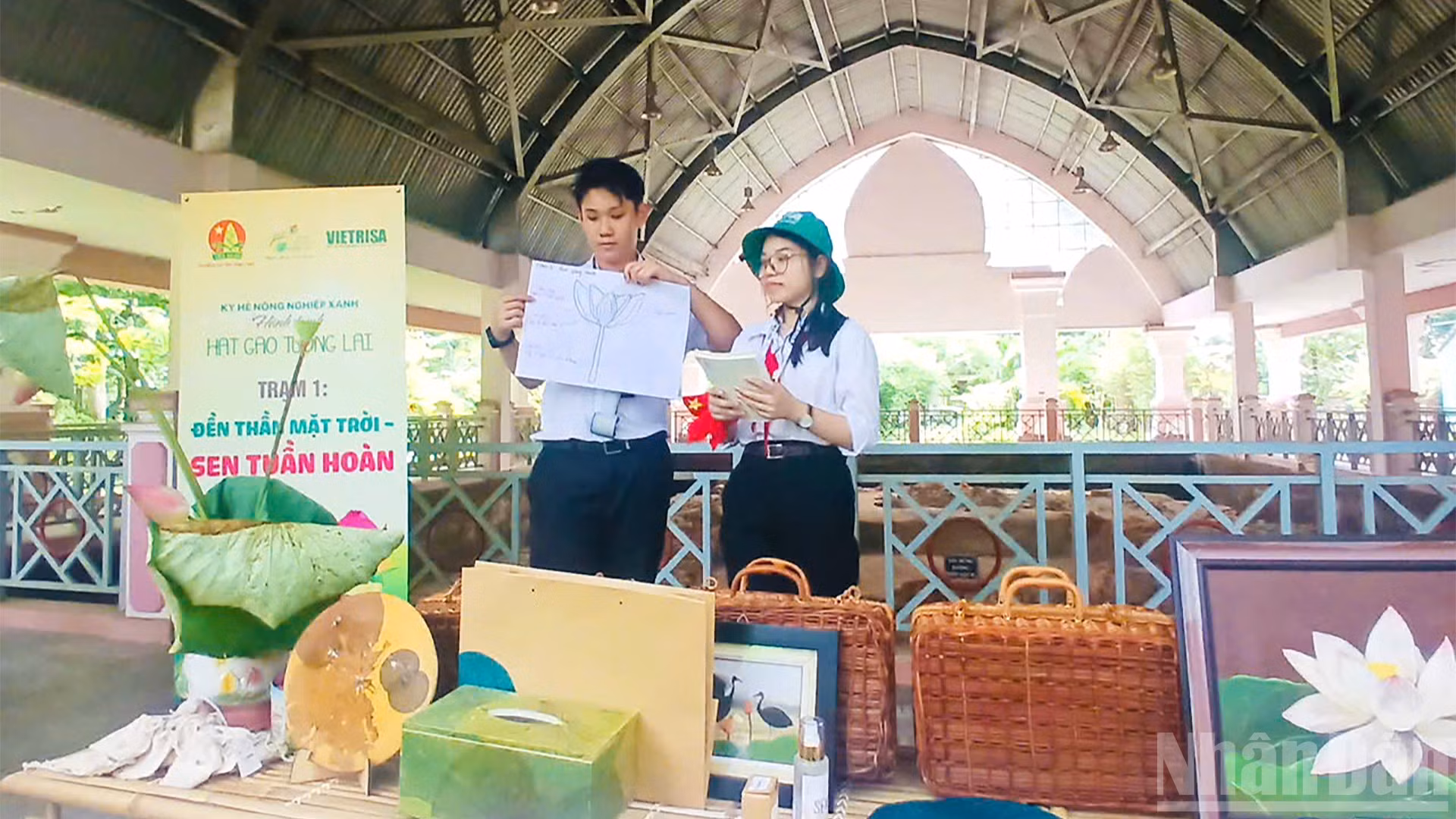 Cùng tìm hiểu về vòng tuần hoàn của sen
