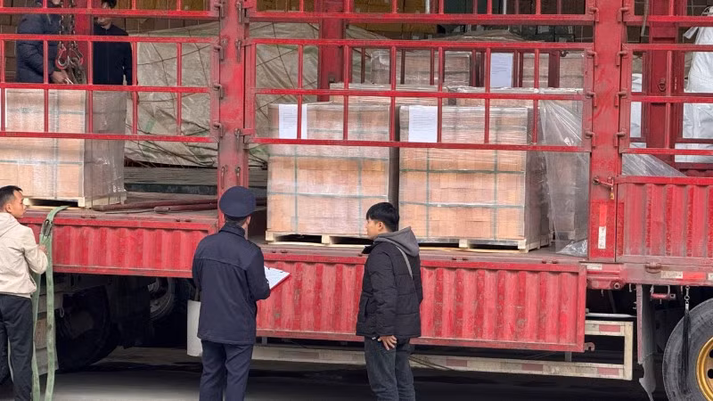 Công chức hải quan hướng dẫn thủ tục nhập khẩu hàng hóa cho doanh nghiệp.