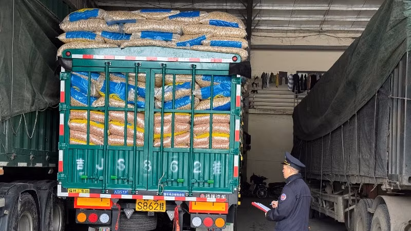 Công chức hải quan làm thủ tục cho hàng hóa nhập khẩu.