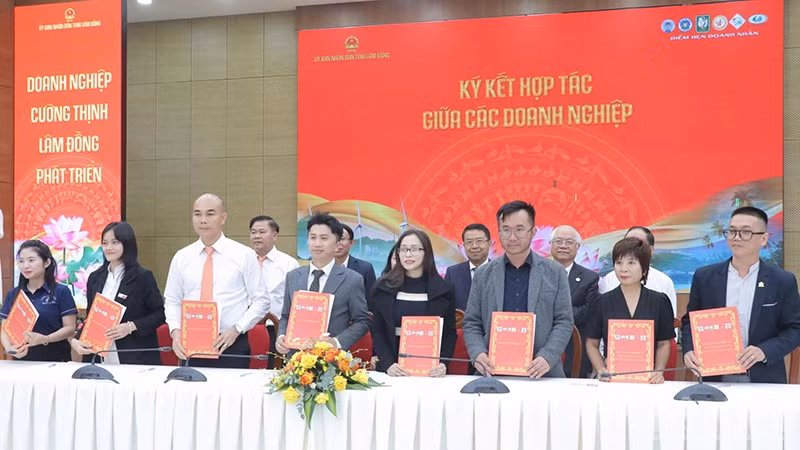 ndo_br_ky-ket-hop-tac-20250629184830-20250629190949.jpg