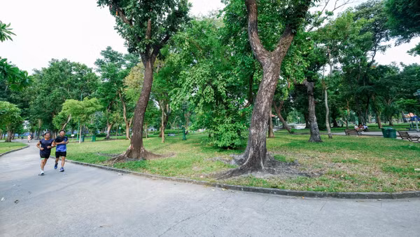 Công viên Lê Văn Tám, không gian có thể đầu tư phát triển bãi đậu xe ngầm nhằm bổ sung không gian phát triển, tăng năng lực hạ tầng cho thành phố (Ảnh: THẾ ANH)