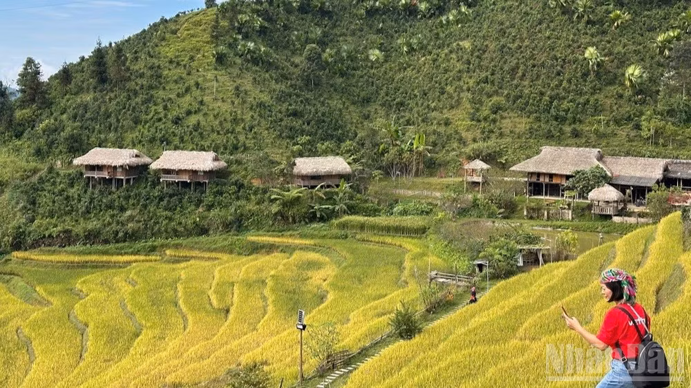 Một khu Homestay Bản Liền, tỉnh Lào Cai. (Ảnh: THANH SƠN)