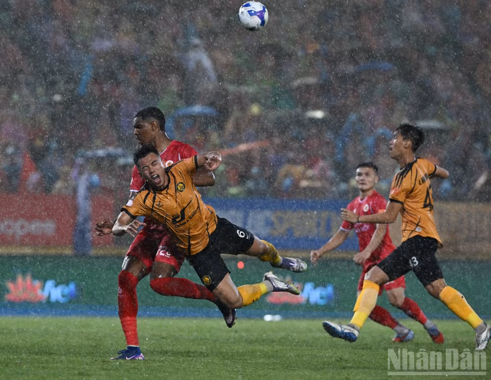 ndo_br_bafc7f341b2e9a70c33f.jpg