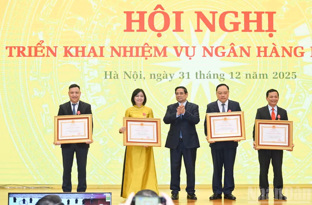 image-1.jpg