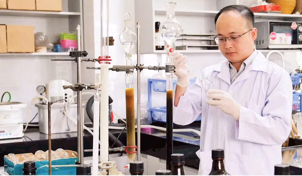 Nghiên cứu, tìm kiếm các hợp chất tiềm năng ức chế tế bào ung thư từ hợp chất khung xanthone nguồn gốc tự nhiên tại Viện Hóa học. (Ảnh: VÂN NGA)
