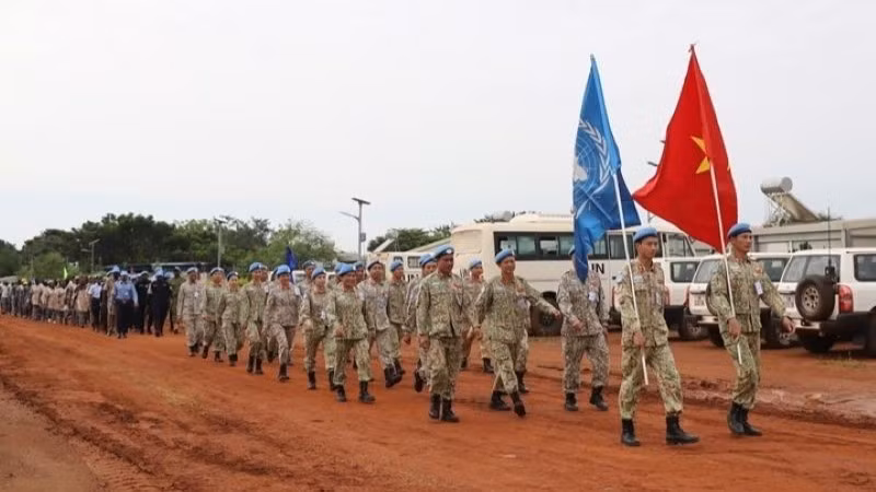 di-bo-8069.jpg