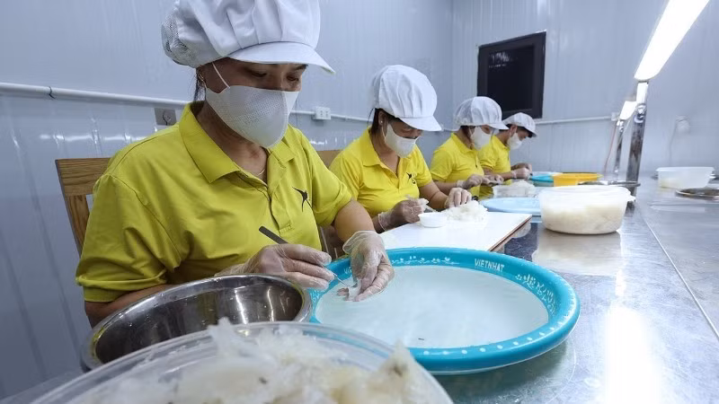 Sơ chế sản phẩm tổ yến ở Công ty TNHH Sản xuất và Thương mại yến sào Xứ Thanh, xã Vạn Lộc, tỉnh Thanh Hóa. (Ảnh: Vũ Sinh/TTXVN)