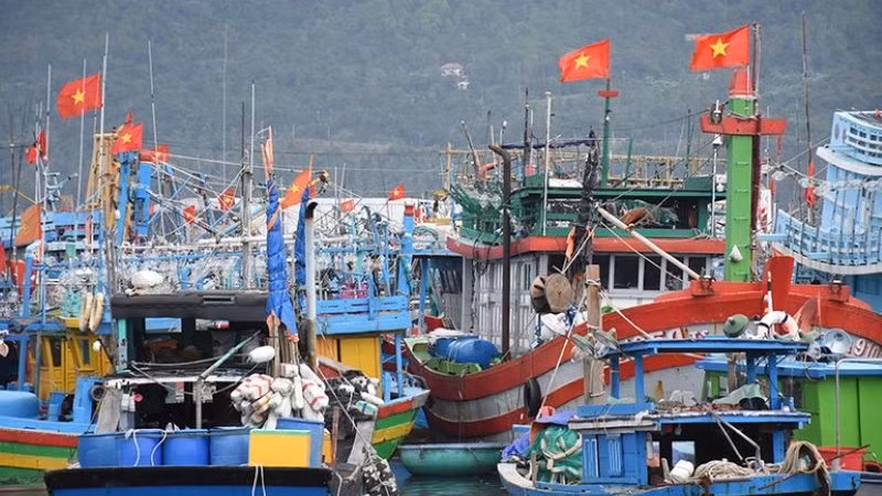 Sắc đỏ lá cờ Tổ quốc trên tàu cá đang neo đậu tại Âu thuyền cảng cá Thọ Quang. (Ảnh: ANH ĐÀO)