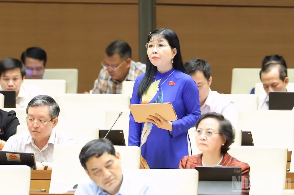 ndo_br_tran-thi-thanh-huong-an-giang.jpg