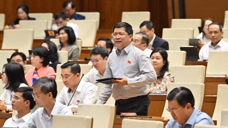 ta-van-ha-quang-nam-8910.jpg