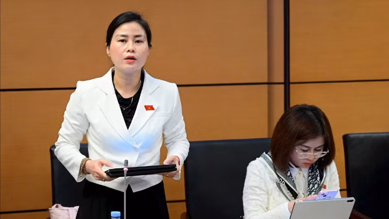 db-bao-trinh-6446.jpg