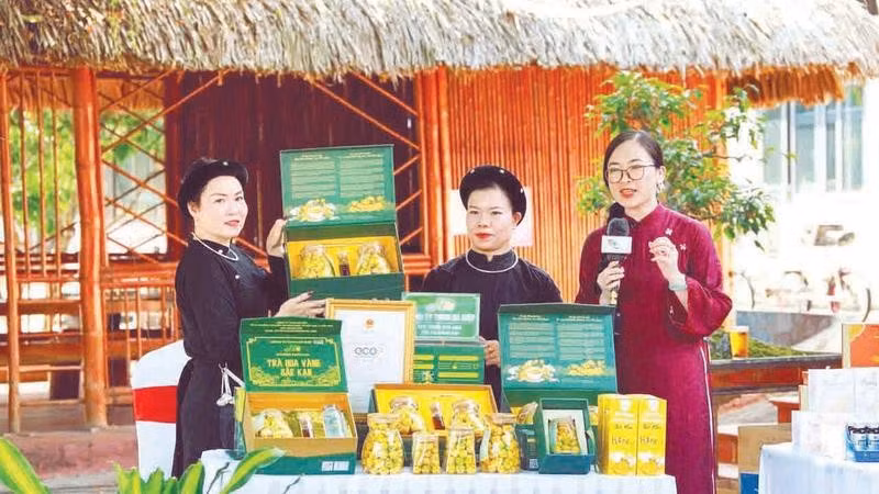 Các gian hàng trưng bày, giới thiệu sản phẩm (Ảnh TIẾN TÙNG)