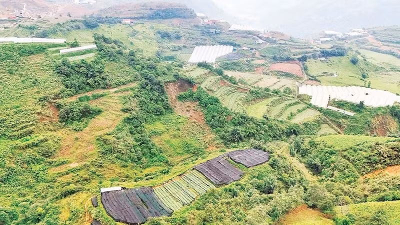 Sa Pa hiện có hơn 300 ha nông nghiệp ứng dụng công nghệ cao và theo hướng công nghệ cao, tạo giá trị hơn 200 tỷ đồng mỗi năm.