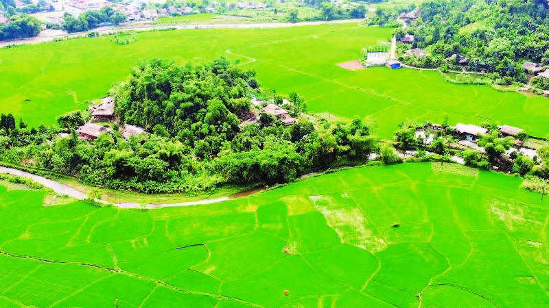 Bức tranh thơ mộng từ những mái nhà sàn ở xã Nghĩa Đô.