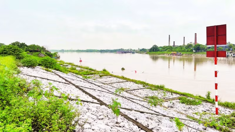 Nhiều tuyến đê trên hệ thống sông Hồng và sông Thái Bình được đầu tư kè đá chắc chắn.