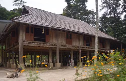 Một ngôi nhà sàn của người Mường tại huyện Ngọc Lặc, Thanh Hóa tuổi đời gần 100 năm. (Ảnh: TTXVN)