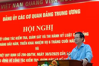 Đồng chí Đoàn Anh Dũng, Phó Chủ nhiệm Ủy ban Kiểm tra Trung ương phát biểu ý kiến chỉ đạo. (Ảnh: PHẠM CƯỜNG)