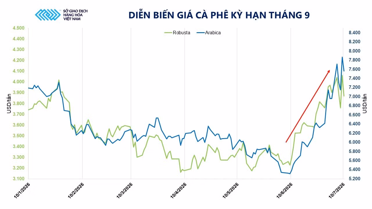dien-bien-gia-ca-phe-ky-han-thang-9.jpg