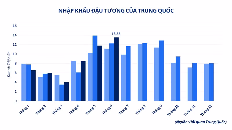 anh-4-nhap-khau-dau-tuong-cua-trung-quoc.png