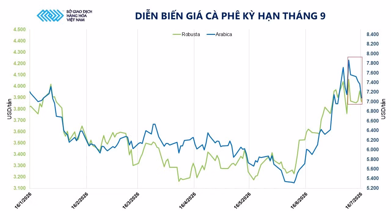 anh-2-dien-bien-gia-ca-phe-ky-han-thang-9.jpg