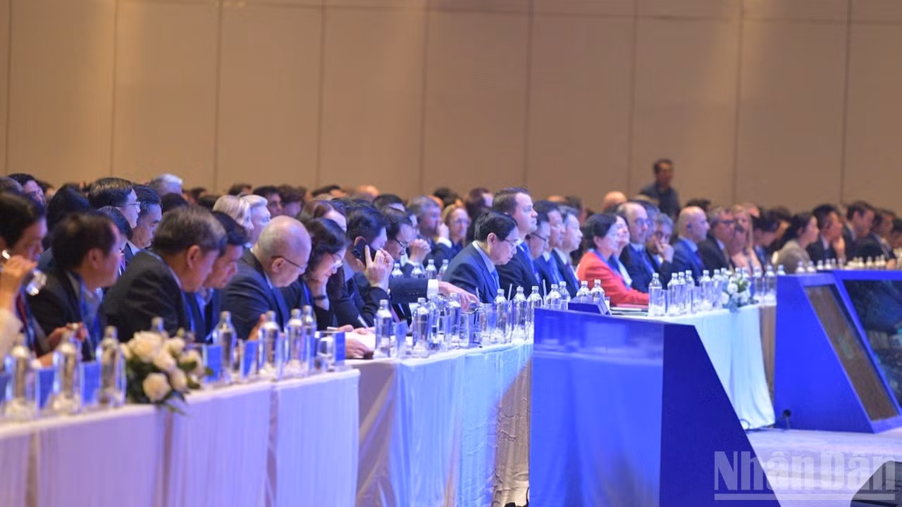 ndo_br_anh-7-7262.jpg
