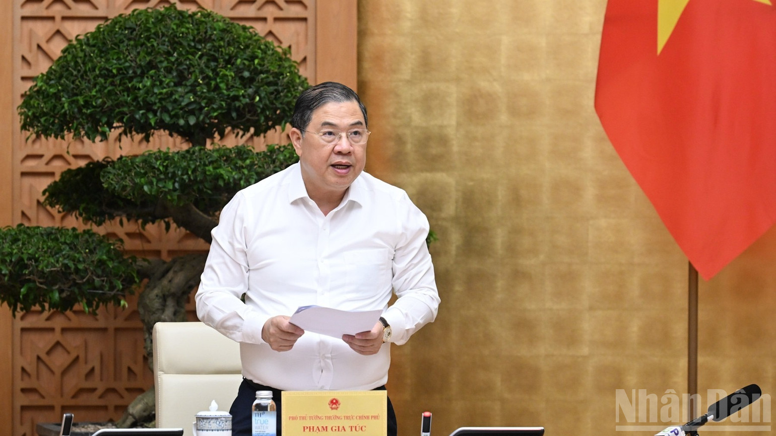 Ph&oacute; Thủ tướng Thường trực Ch&iacute;nh phủ Phạm Gia T&uacute;c ph&aacute;t biểu &yacute; kiến. (Ảnh: TRẦN HẢI)
