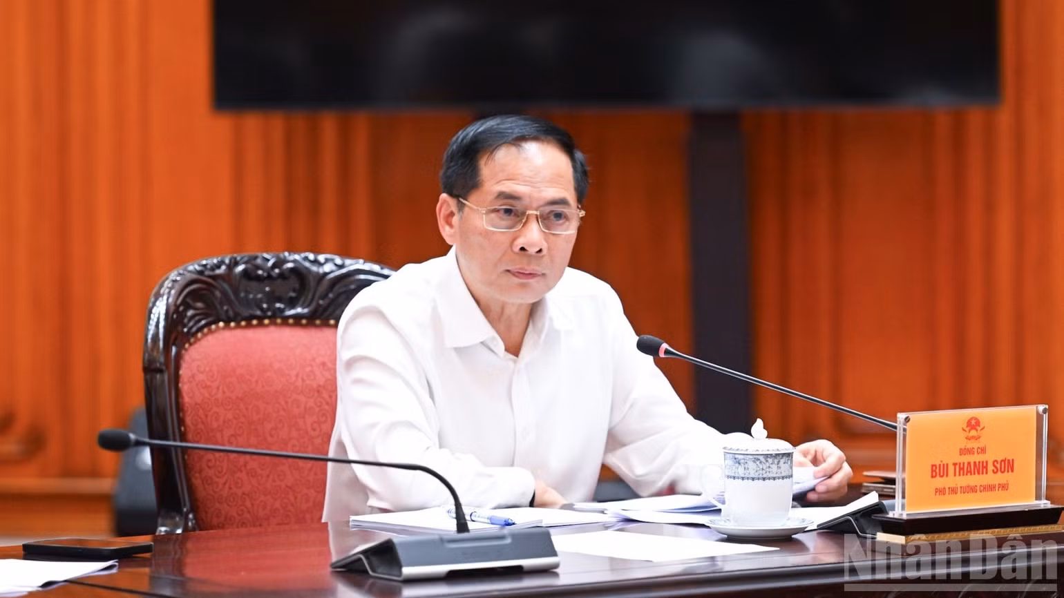 Phó Thủ tướng Bùi Thanh Sơn phát biểu ý kiến tại cuộc họp. (Ảnh: Trần Hải)