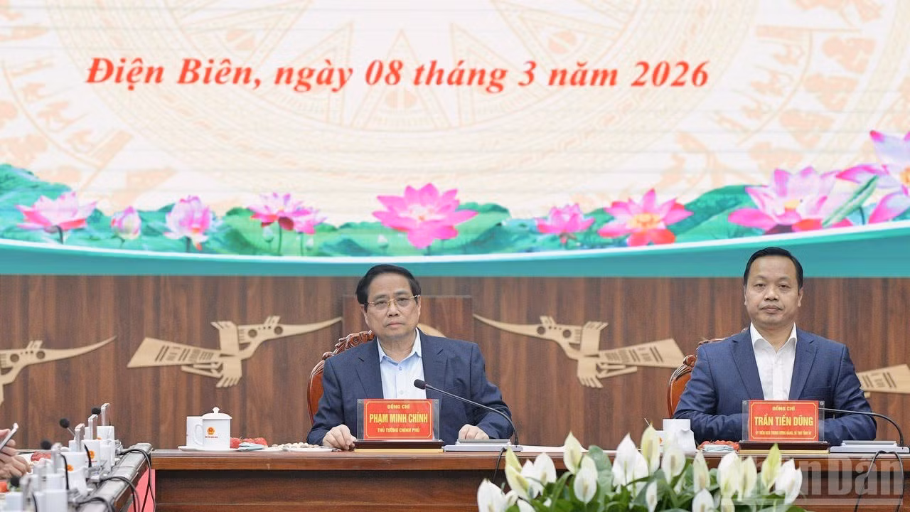 ndo_br_b8-6030.jpg