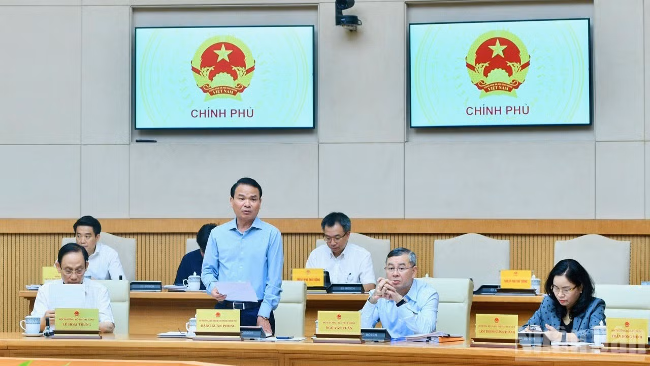 Bộ trưởng, Chủ nhiệm Văn phòng Chính phủ Đặng Xuân Phong phát biểu ý kiến tại phiên họp. (Ảnh: THANH GIANG)