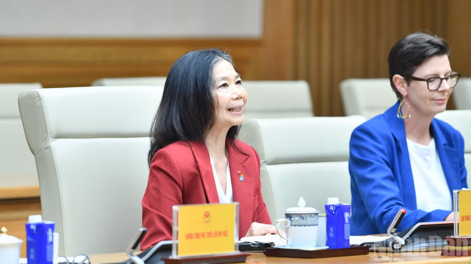 Bà Pauline Tamesis, Điều phối viên Thường trú Liên hợp quốc tại Việt Nam phát biểu ý kiến tại buổi tiếp. (Ảnh: THANH GIANG)