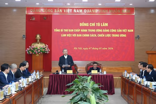 tbt-lam-viec.jpg