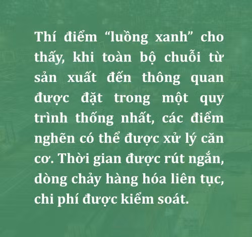 ly-le-8.jpg