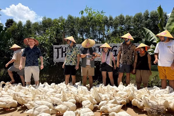 Bồng Lai, hương đồng gọi bước