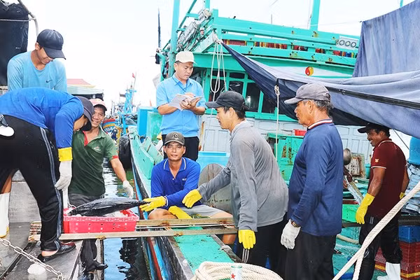 Ban Quản lý Cảng cá, Sở Nông nghiệp và Môi trường tỉnh Gia Lai quản lý chặt chẽ tàu, thuyền xuất - nhập bến.