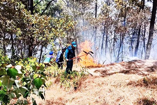 Lực lượng chức năng kịp thời phát hiện và dập tắt các đám cháy có nguy cơ lan rộng tại phường An Cựu.