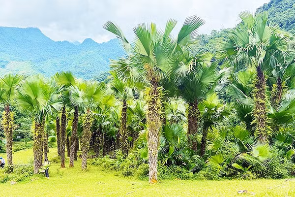 Sống cân bằng ở Khun